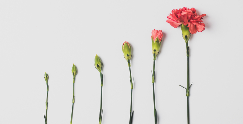 evolve.jpg /posts/why-every-company-needs-devops/images/evolve.jpg